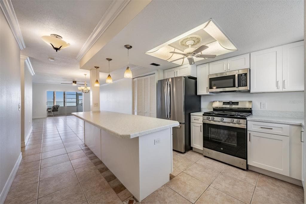 7 DUNOON PLACE # 102, DUNEDIN, FL 34698 — zdjęcie 4
