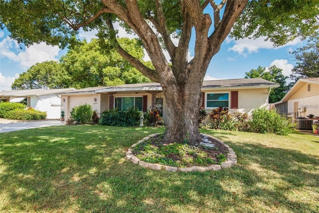 3802 MYNABIRD DRIVE, NEW PORT RICHEY, FL 34652 — zdjęcie 2