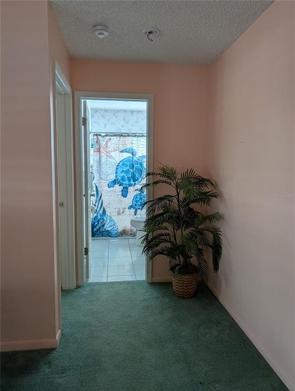 9204 36TH WAY N # 6, PINELLAS PARK, FL 33782 — zdjęcie 5