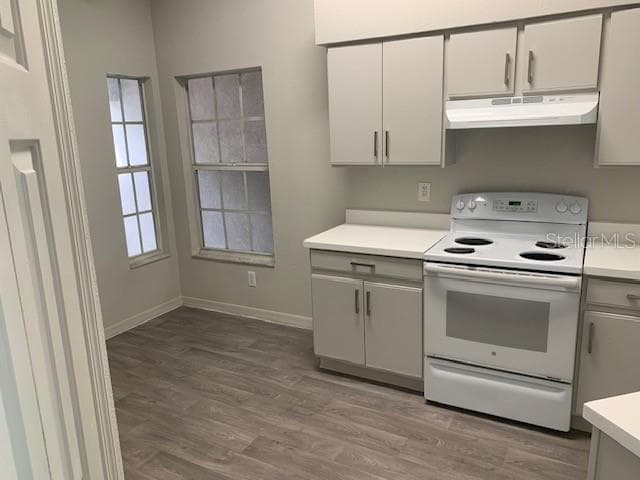 3136 PINE TOP DRIVE, VALRICO, FL 33594 — zdjęcie 3