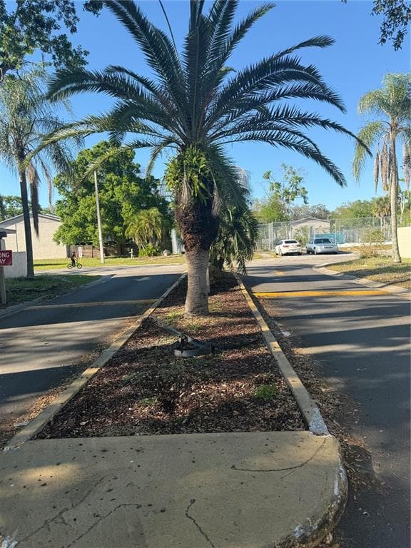 5118 TENNIS COURT CIRCLE, TAMPA, FL 33617 — zdjęcie 3