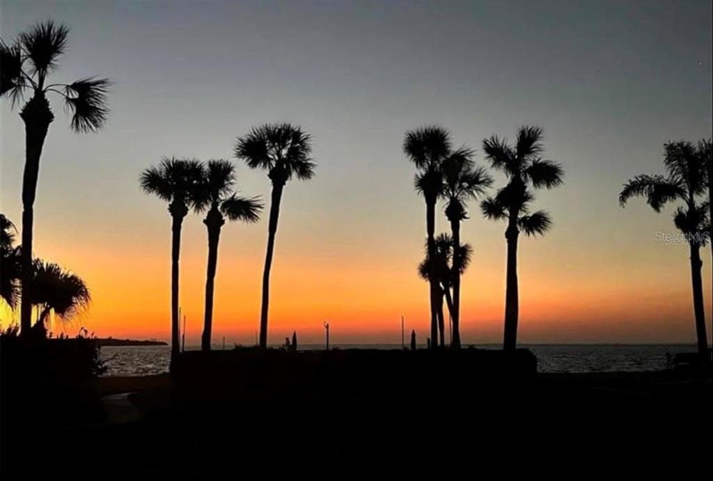 7520 SUNSHINE SKYWAY LANE S # T18, ST PETERSBURG, FL 33711 — zdjęcie 5