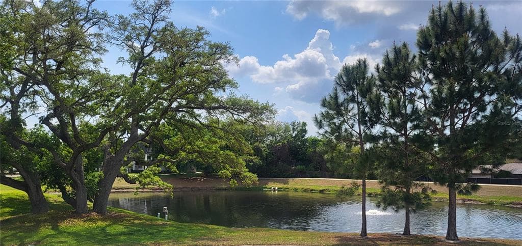 2291 AMERICUS BOULEVARD W # 37, CLEARWATER, FL 33763 — zdjęcie 3