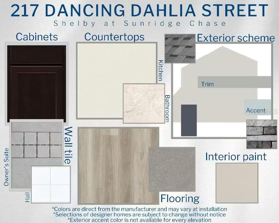 217 DANCING DAHLIA STREET, RUSKIN, FL 33570 — zdjęcie 3