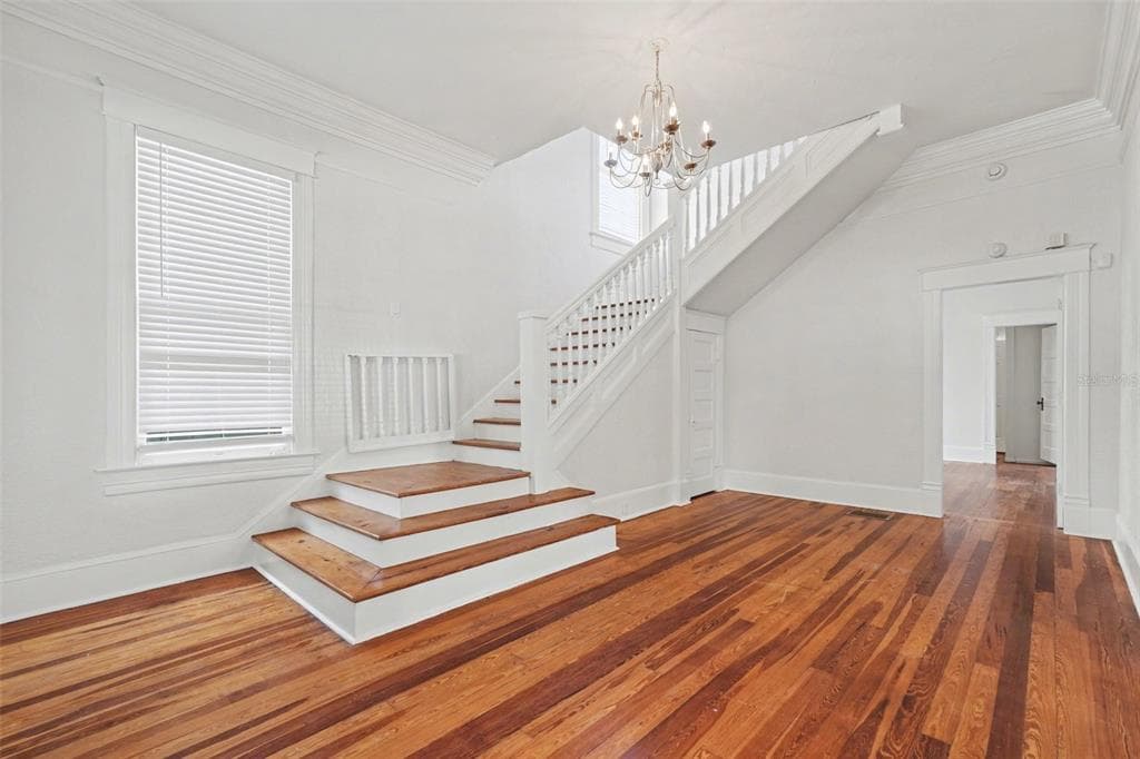 501 W EUCLID AVENUE, TAMPA, FL 33602 — zdjęcie 5
