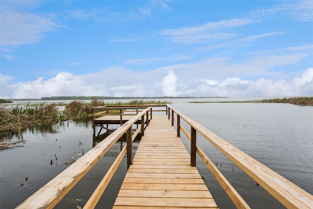 2316 N GRIFFIN DRIVE, LEESBURG, FL 34748 — zdjęcie 2