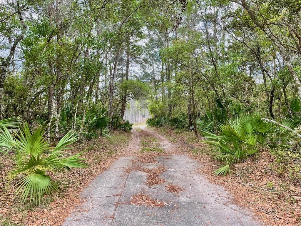 349 SEMINOLE WOODS BLVD, GENEVA, FL 32732 — zdjęcie 3