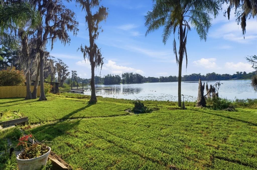 700 DRUID WAY, LUTZ, FL 33548 — zdjęcie 3