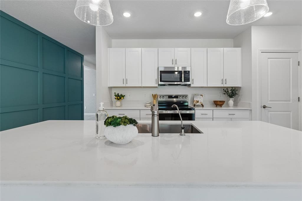 10065 GENTLE RAIN DRIVE, LAND O LAKES, FL 34638 — zdjęcie 5