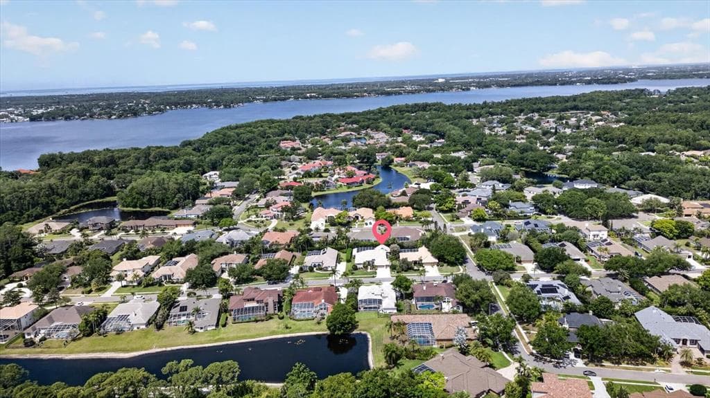 4052 CAPITOL DRIVE, PALM HARBOR, FL 34685 — zdjęcie 5