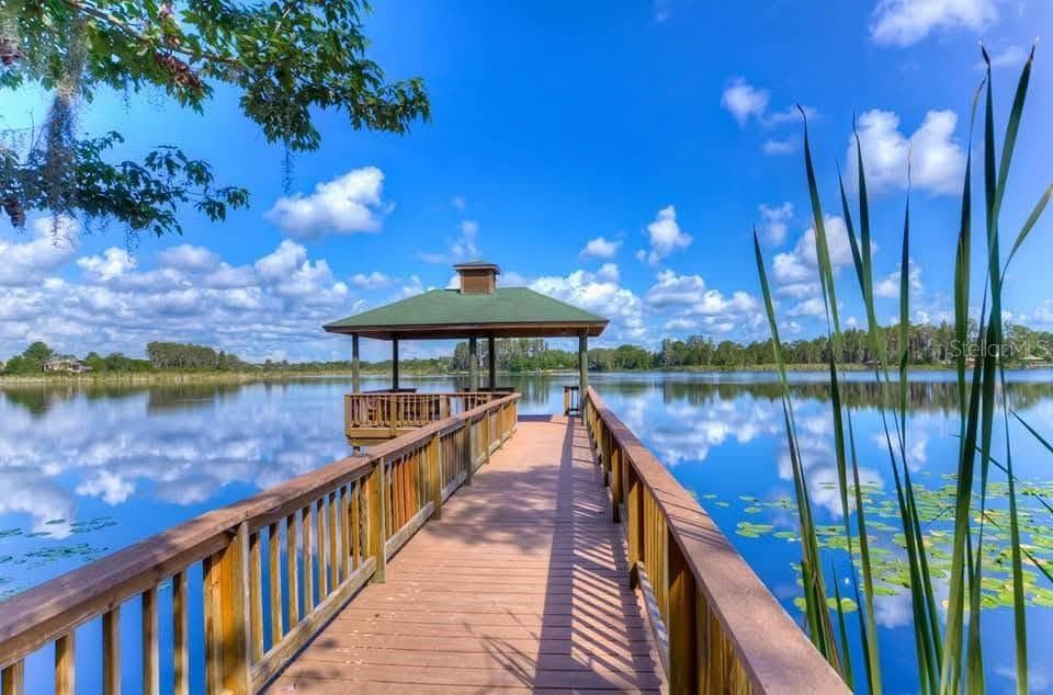 7018 CARDINALWOOD LANE, LAND O LAKES, FL 34637 — zdjęcie 3