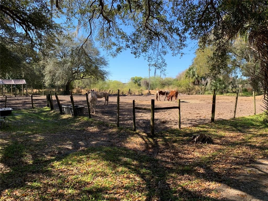 5614 WATSON, RIVERVIEW, FL 33578 — zdjęcie 5