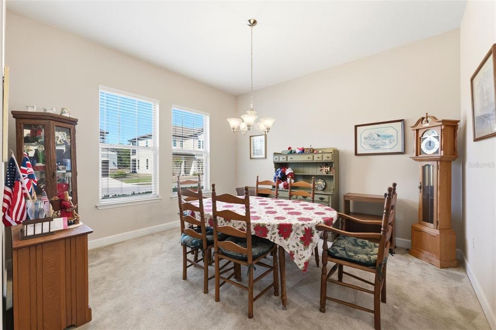 4924 BUTLER NATIONAL DRIVE, WESLEY CHAPEL, FL 33543 — zdjęcie 4