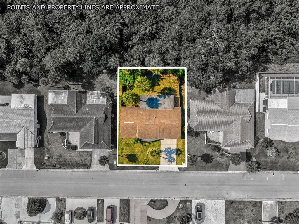 4408 RUDDER WAY, NEW PORT RICHEY, FL 34652 — zdjęcie 2