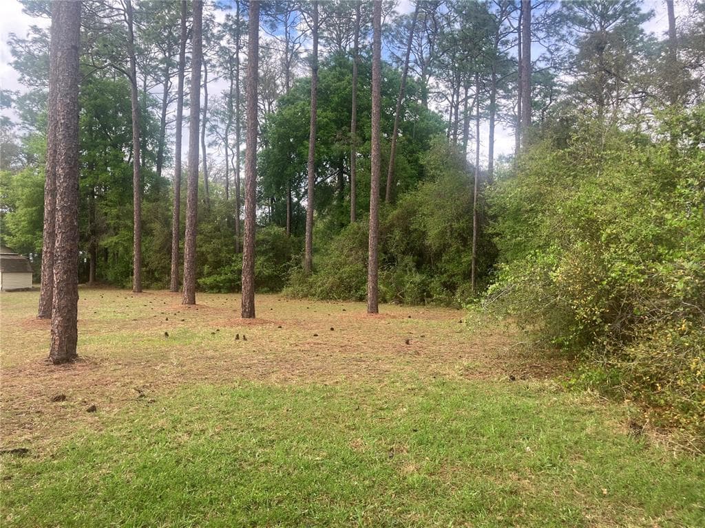 SE 19th Place SE 19TH PLACE, SILVER SPRINGS, FL 34488 — zdjęcie 2
