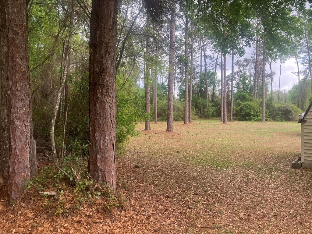 SE 19th Place SE 19TH PLACE, SILVER SPRINGS, FL 34488 — zdjęcie 3