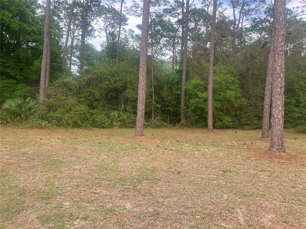 SE 19th Place SE 19TH PLACE, SILVER SPRINGS, FL 34488 — zdjęcie 5