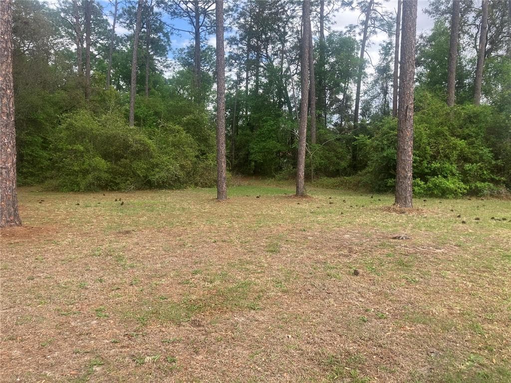 SE 19th Place SE 19TH PLACE, SILVER SPRINGS, FL 34488 — zdjęcie 4
