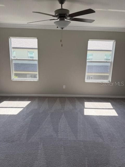 2136 CERULEAN SKY WAY, LUTZ, FL 33558 — zdjęcie 5