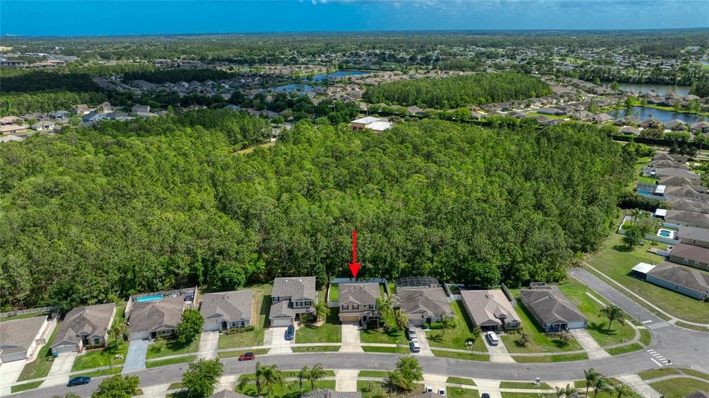 5266 PLANTATION HOME WAY, PORT ORANGE, FL 32128 — zdjęcie 3