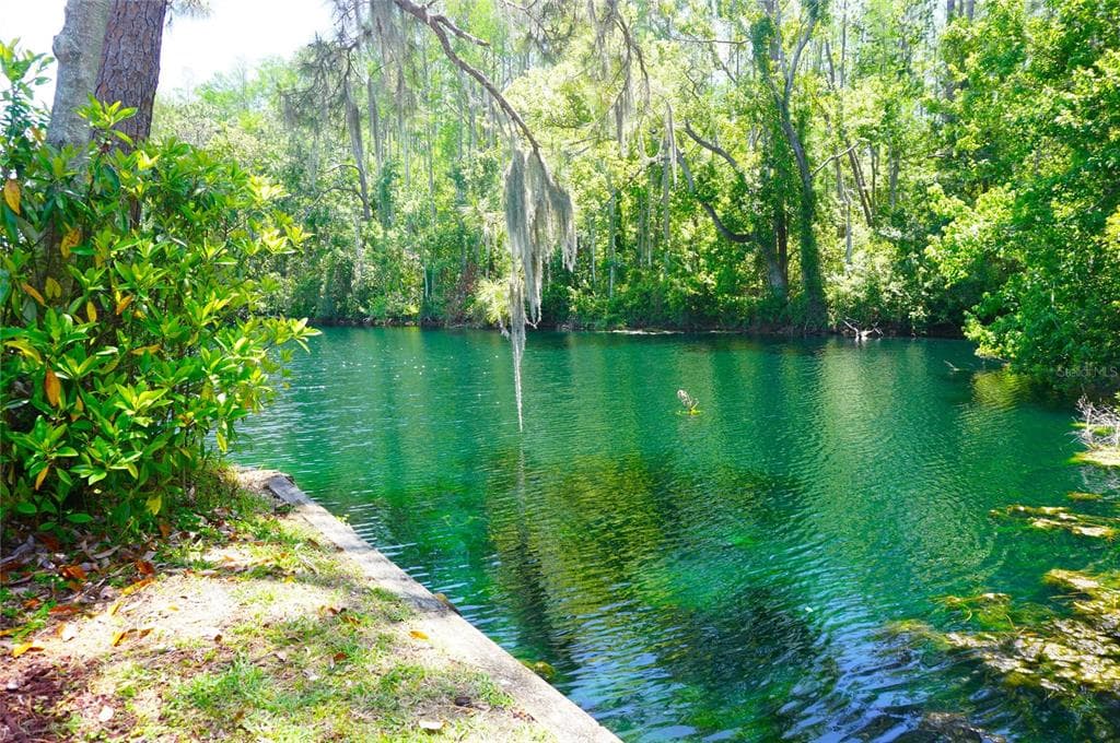 1873 MAZO MANOR # T9, LUTZ, FL 33558 — zdjęcie 3