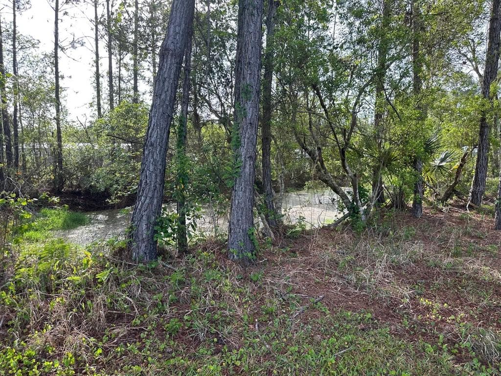 1583 BEECH BOULEVARD, BUNNELL, FL 32110 — zdjęcie 5