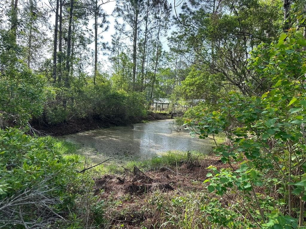 1583 BEECH BOULEVARD, BUNNELL, FL 32110 — zdjęcie 4