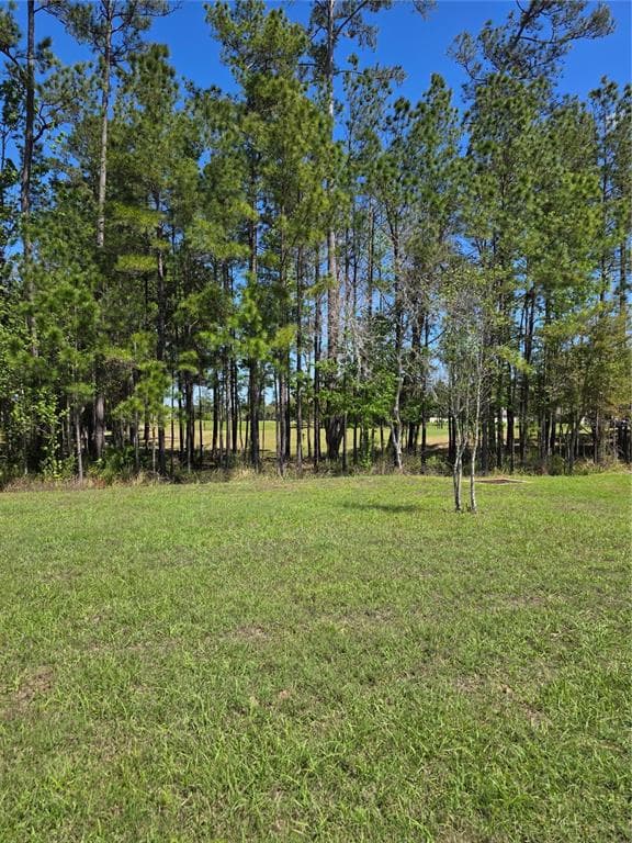 5058 DIANTHA WAY, BROOKSVILLE, FL 34604 — zdjęcie 3