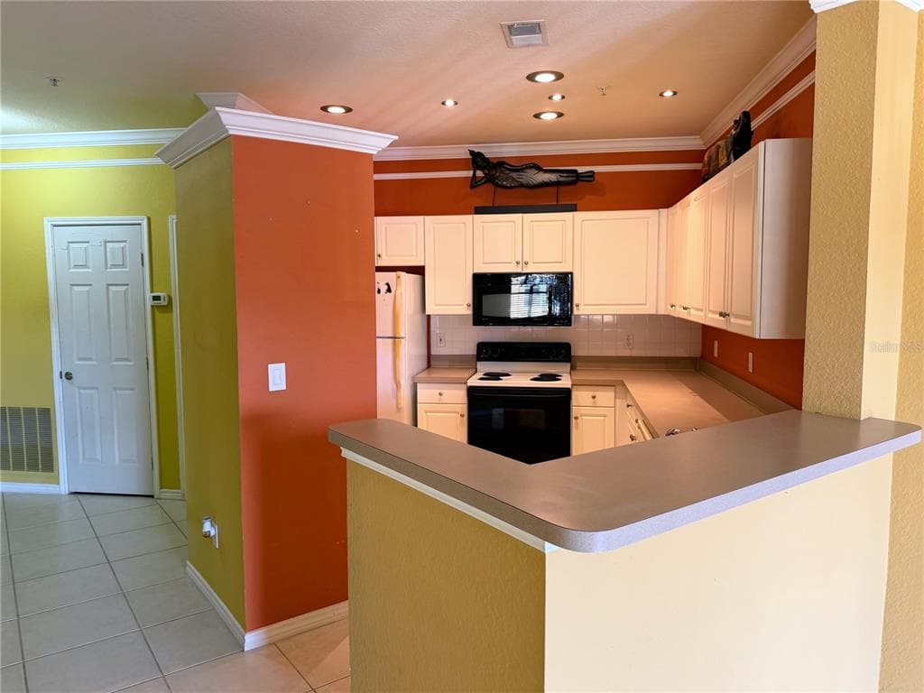 4333 BAYSIDE VILLAGE DRIVE # 229, TAMPA, FL 33615 — zdjęcie 5