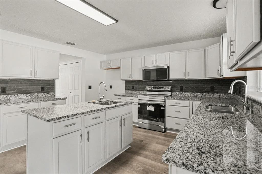 10317 FROG POND DRIVE, RIVERVIEW, FL 33569 — zdjęcie 2