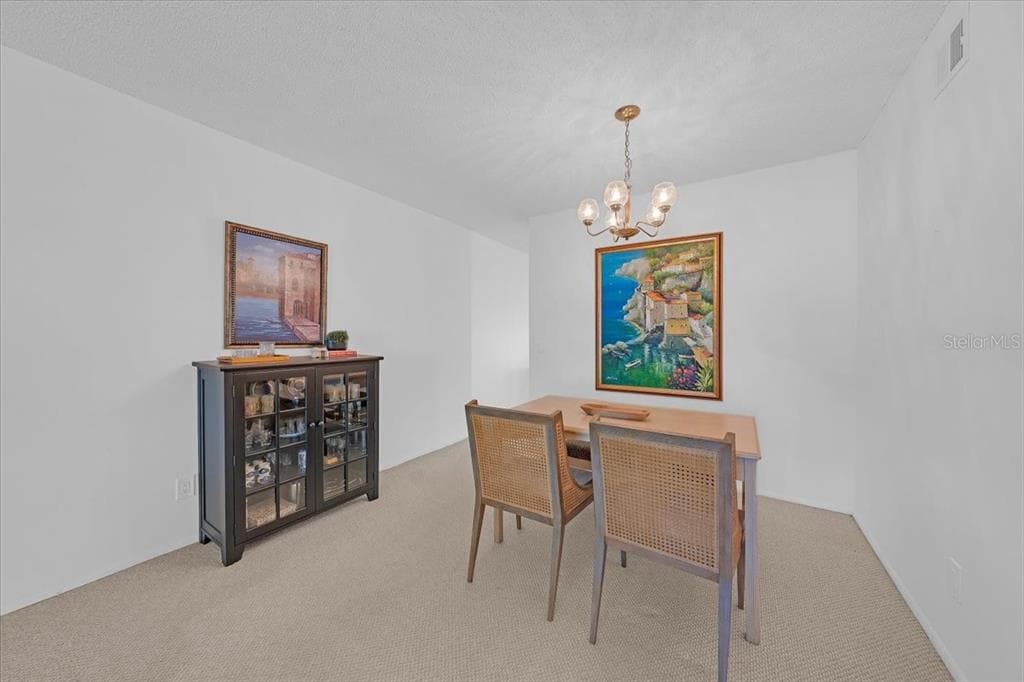 2401 FRANCISCAN DRIVE # 41, CLEARWATER, FL 33763 — zdjęcie 5
