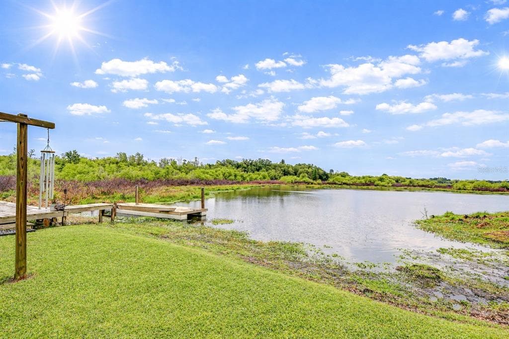 1216 BRANDON LAKES AVENUE, VALRICO, FL 33594 — zdjęcie 4