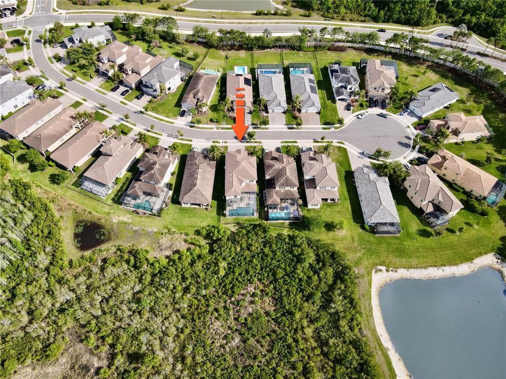 30351 TRISTANIA COURT, WESLEY CHAPEL, FL 33543 — zdjęcie 4