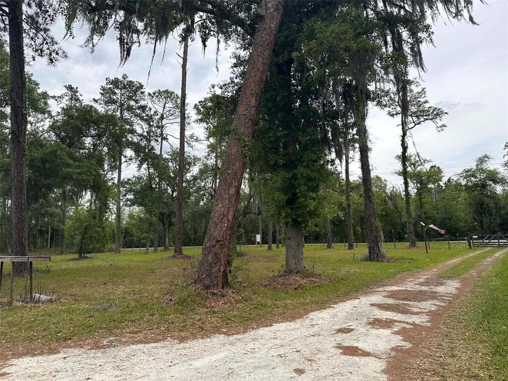 6800 NE 175TH ST. ROAD, CITRA, FL 32113 — zdjęcie 5