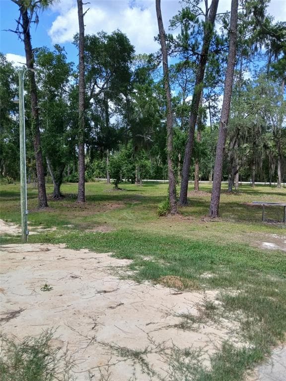 6800 NE 175TH ST. ROAD, CITRA, FL 32113 — zdjęcie 4