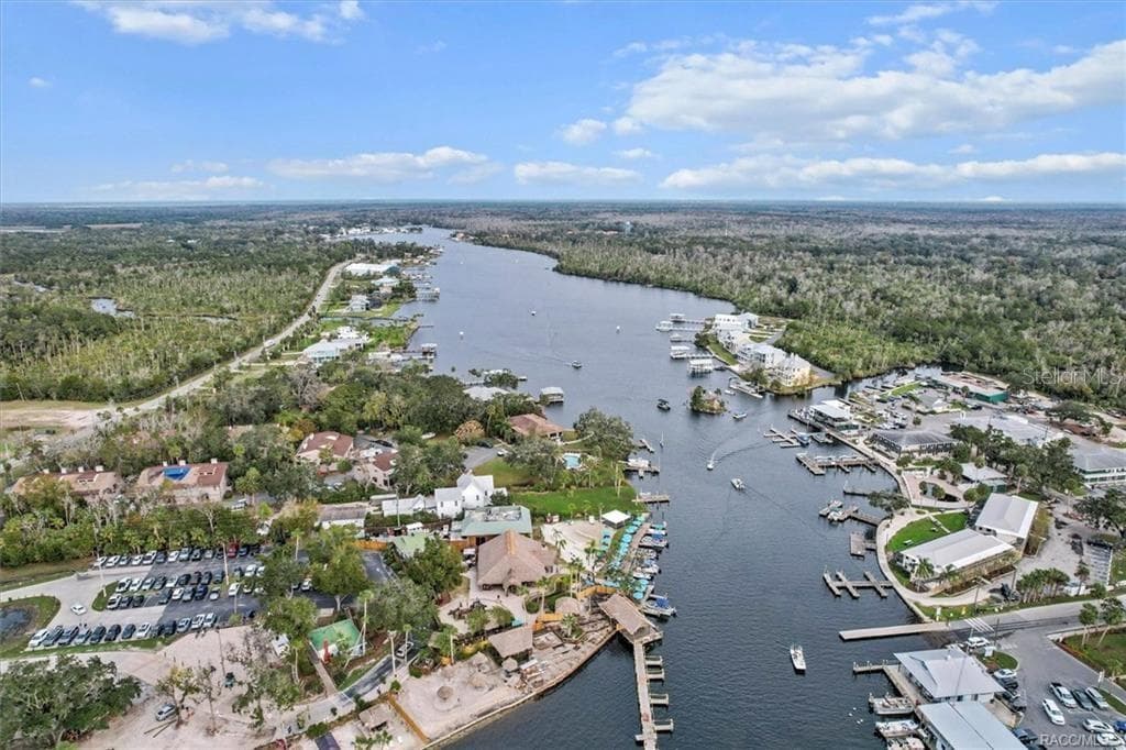 10460 W NEW YORK STREET, HOMOSASSA, FL 34448 — zdjęcie 3