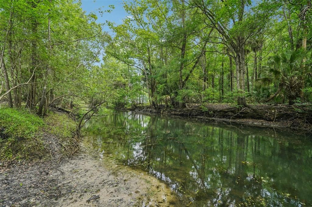 217 S TUCK POINT, INVERNESS, FL 34450 — zdjęcie 5