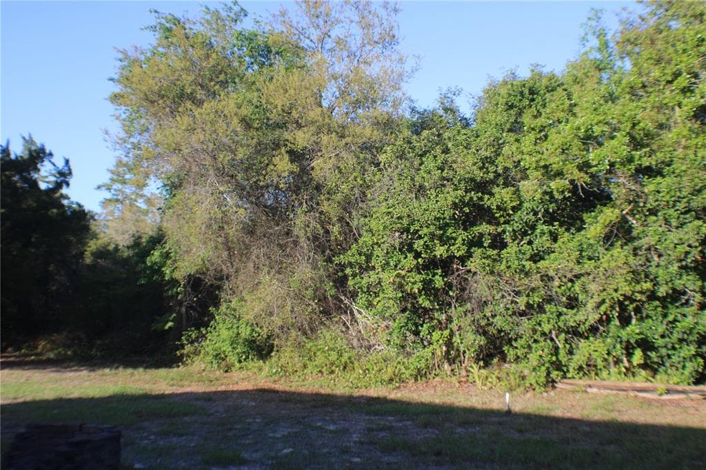 3045 YORKSHIRE DRIVE, DELTONA, FL 32738 — zdjęcie 2