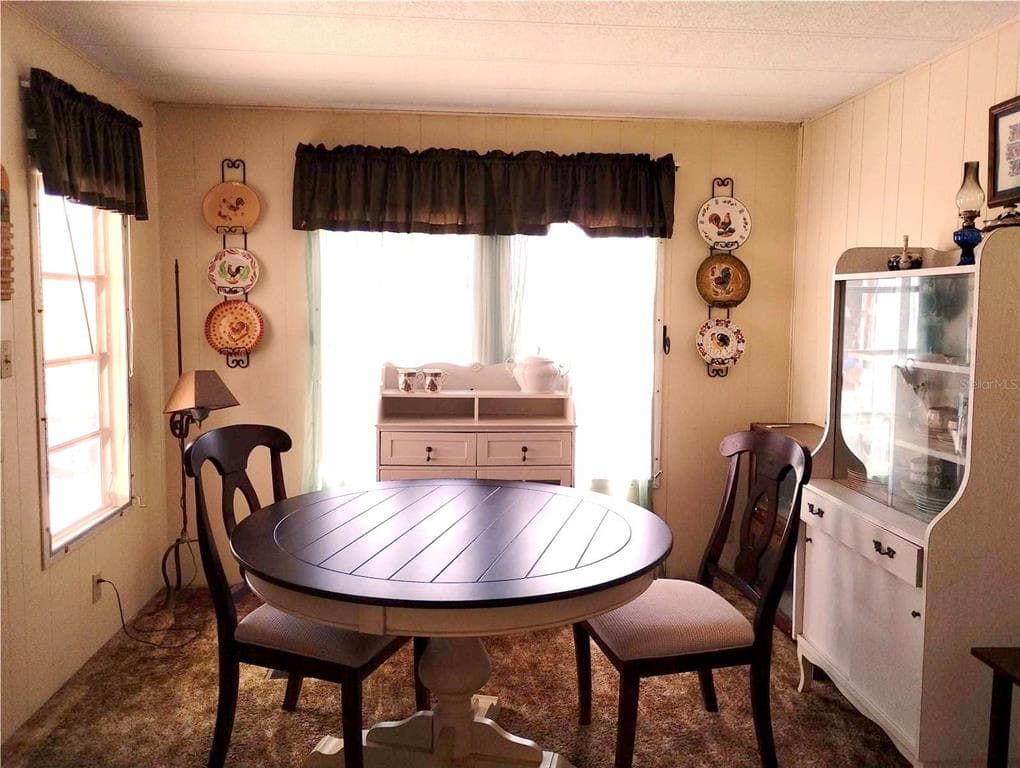 7409 SKYLINE DRIVE, HUDSON, FL 34667 — zdjęcie 3