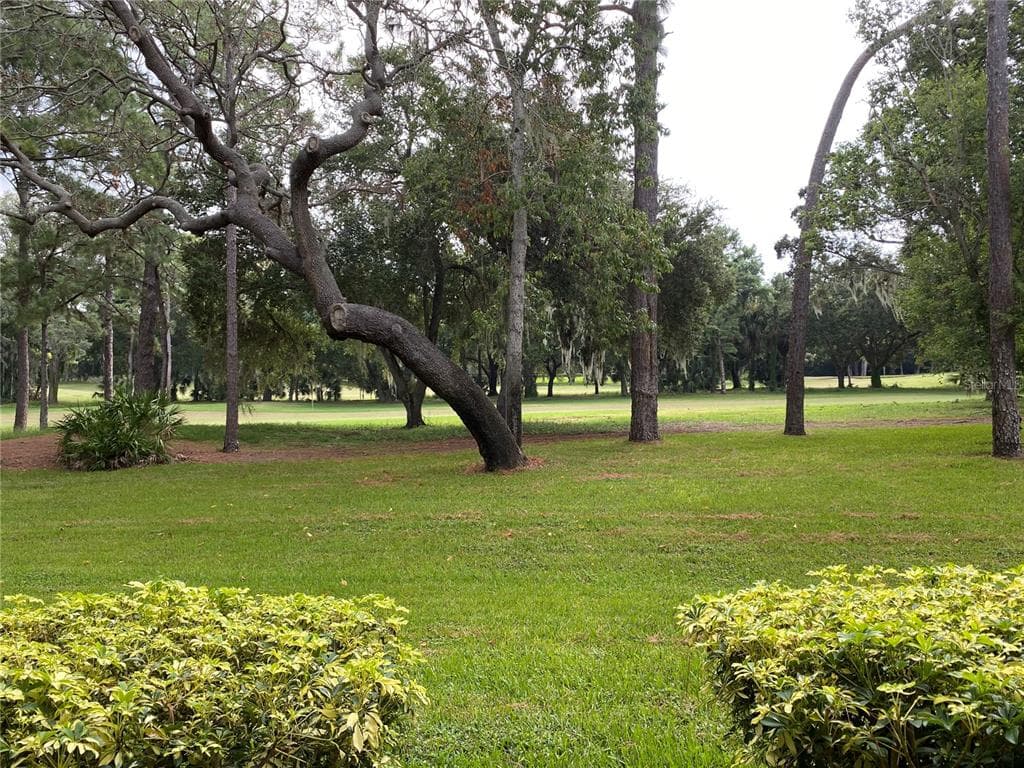 36750 US HIGHWAY 19 N # 19-115, PALM HARBOR, FL 34684 — zdjęcie 3