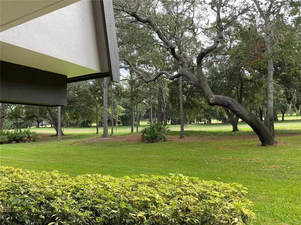 36750 US HIGHWAY 19 N # 19-115, PALM HARBOR, FL 34684 — zdjęcie 5