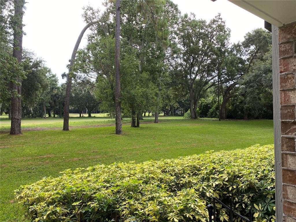 36750 US HIGHWAY 19 N # 19-115, PALM HARBOR, FL 34684 — zdjęcie 4