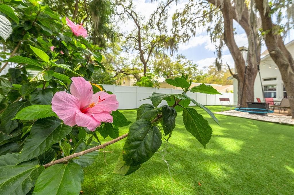 901 VIRGINIA AVENUE, TARPON SPRINGS, FL 34689 — zdjęcie 3