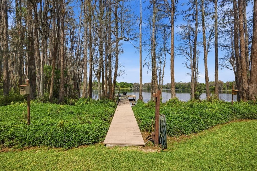 820 NEWBERGER ROAD, LUTZ, FL 33549 — zdjęcie 3
