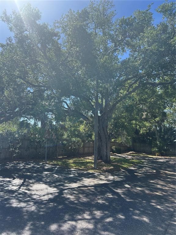 383 S MCMULLEN BOOTH ROAD # 68, CLEARWATER, FL 33759 — zdjęcie 5