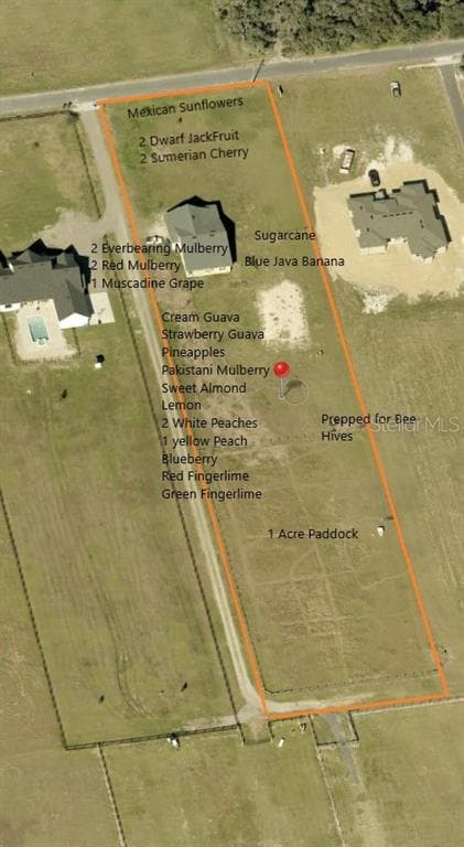 3063 ENGLISH ROAD, PLANT CITY, FL 33567 — zdjęcie 2