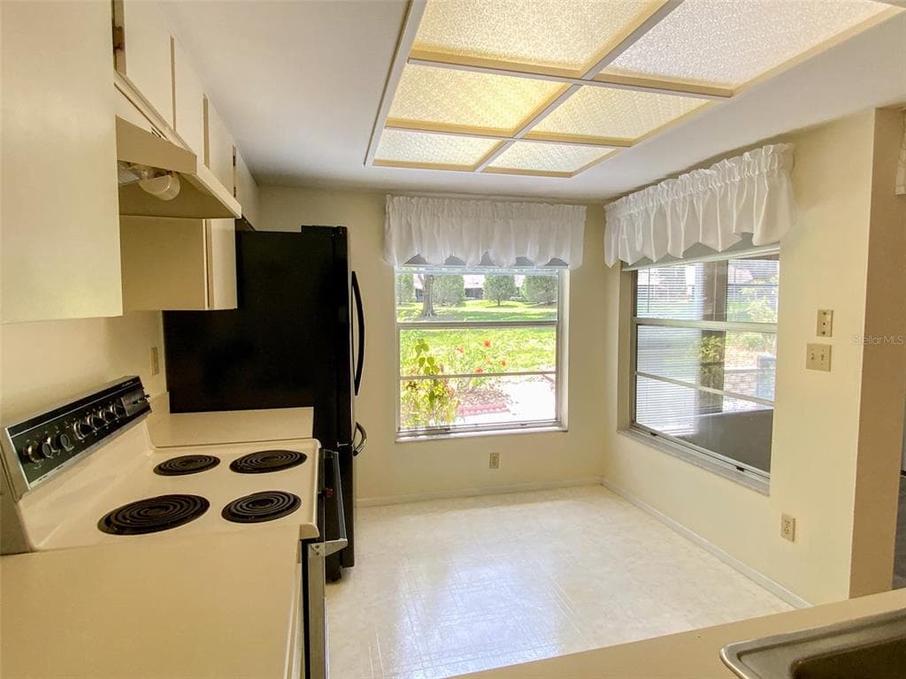 1125 MONTROSE PLACE, DUNEDIN, FL 34698 — zdjęcie 5