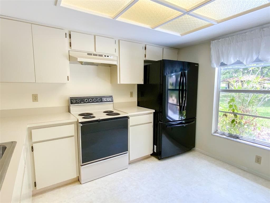 1125 MONTROSE PLACE, DUNEDIN, FL 34698 — zdjęcie 4