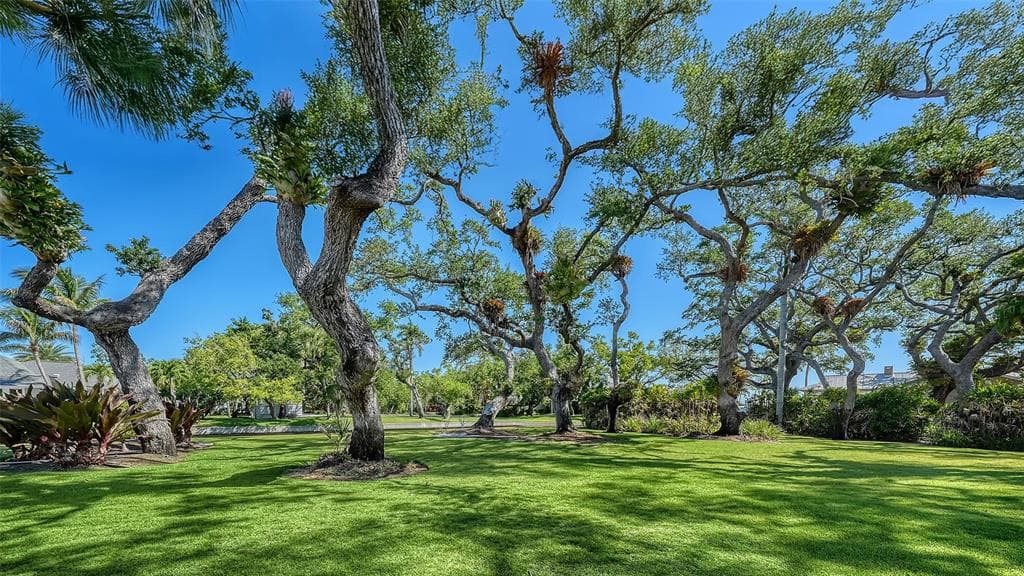 1249 S BASIN LANE, SARASOTA, FL 34242 — zdjęcie 5