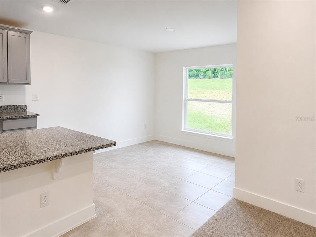 259 VERNY GROVE LANE, LEESBURG, FL 34748 — zdjęcie 5